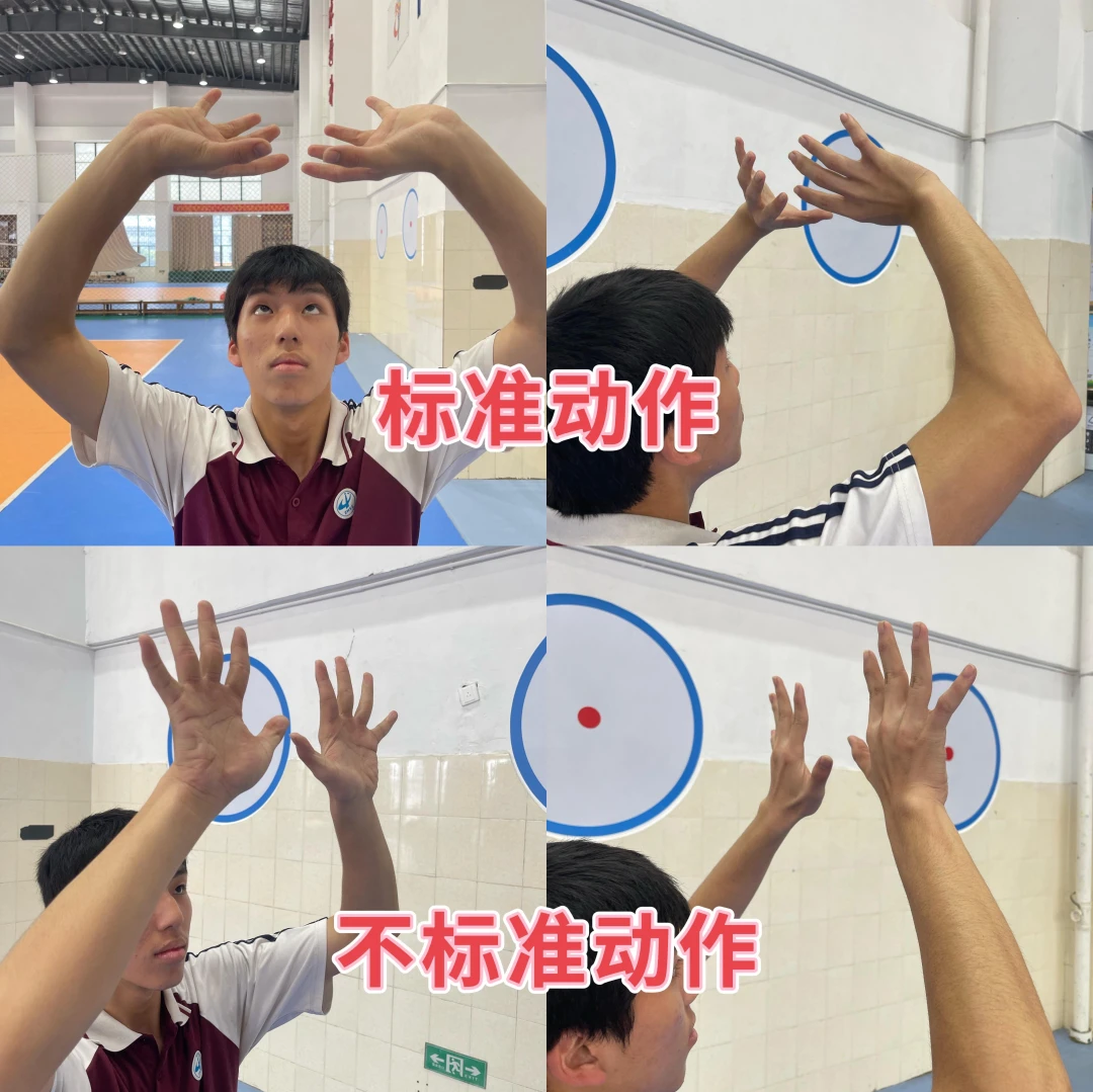 篮球训练歌曲大全_1